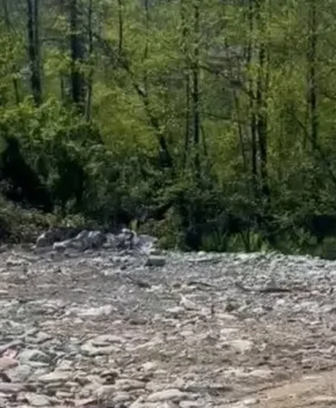 rizede-vahsi-depolamaya-milyonluk-ceza-cevreden-suc-duyurusu-1ZHmOeVH.webp