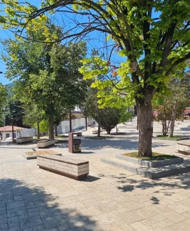 sakarya-taraklida-tarihi-cinar-yeniden-hayat-buluyor-wFM8OEuU.webp