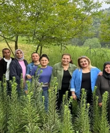 ak-zambaklar-gelisiyor-kadinlar-gucleniyor-PGnCqij4.webp