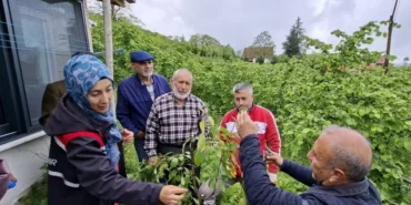 buyuksehirin-asi-ordusu-buyuyor-hRrYXxAA.webp