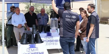 izmirde-kahverengi-kokarca-bocegine-karsi-tuzak-LU8QQj4l.webp