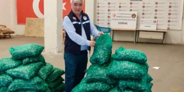 kapikulede-midye-sabiha-gokcende-tibbi-suluk-operasyonu-15-milyon-tllik-ceza-72YtPpEi.webp