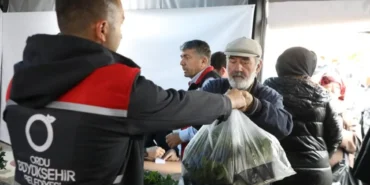 orduda-300-bin-yazlik-sebze-fidesi-dagitimi-basladi-qHQjNceN.webp