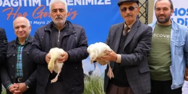samsun-buyuksehirden-ureticiye-kaz-destegi-6nggElmD.webp