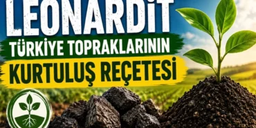 turkiye-tariminda-yeni-umut-leonardit-ile-topragin-hafizasi-canlaniyor-sY3vFWZ4.webp