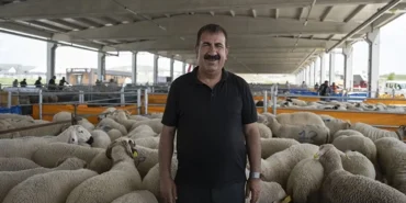 turkyedden-kurbanlik-uyarilar-metwU8Dw.webp