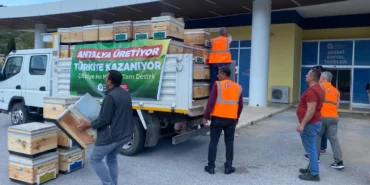 antalyada-ari-kovani-destekleri-devam-ediyor-vqMTUqme.webp
