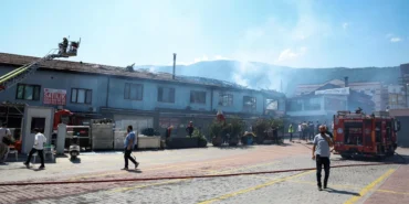 bursa-itfaiyesinden-kayhandaki-yangina-hizli-mudahale-p2u7geOh.webp