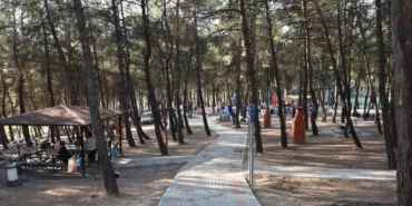 bursada-ormanlara-giris-yasagi-15-ekime-kadar-surecek-rmfA1rFb.webp