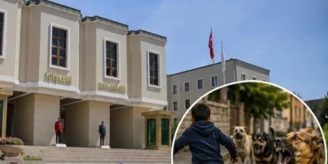 icislerinden-kopek-saldirilari-sonrasi-3-belediye-baskani-hakkinda-islem-mugla-ve-erzuruma-sorusturma-sanliurfaya-kfWGW5sP.webp