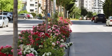 kayseri-talasta-cicek-yilinda-sahne-gullerin-B1DkCCKP.webp