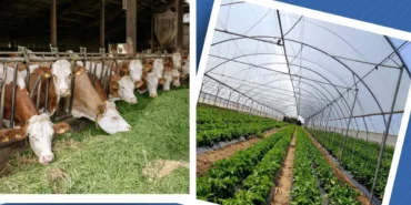 kirsal-kalkinma-yatirim-programi-basvurulari-3-temmuza-uzatildi-3N3LZRUP.webp