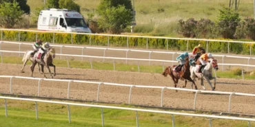 nilufer-belediye-baskanligi-kosusunu-askartay-kazandi-GBxRtF2b.webp