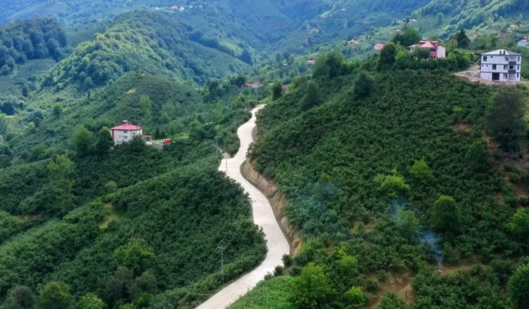 altinordu-orencike-konforlu-ulasim-72PmGsL1.jpg