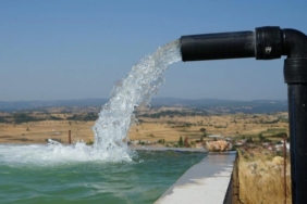 balikesirli-ciftcinin-naipli-mutlulugu-fm3Eyctl.jpg