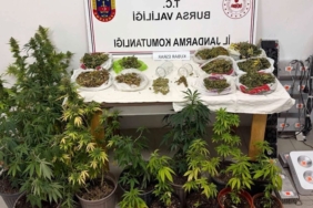 bursa-inegolde-kenevir-ve-yuklu-miktarda-esrar-ele-gecirildi-MmjHimph.jpg
