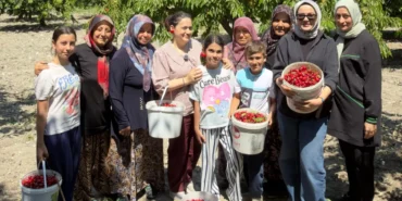 dagderden-bursali-kiraz-ureticilerine-destek-uOcNpssi.webp