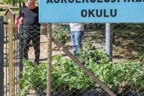 diyarbakirda-tibbi-aromatik-bitki-uretim-ve-isleme-tesisi-IAzhXNuC.jpg