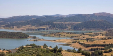 izmir-ve-manisadan-dev-cevre-is-birligi-gordese-2-bin-donumluk-bal-ormani-geliyor-4iu4r7nH.jpg