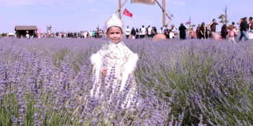 konya-karatayda-lavanta-bahcesinde-festival-hazirligi-miKJae2t.webp