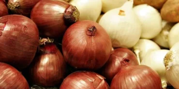 kuru-soganda-gumruk-gecici-yuzde-5e-indirildi-ZsKBvtcq.webp