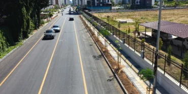 mersinde-gazi-pasa-caddesi-420-agacla-yesillendi-3KKKfJXT.webp