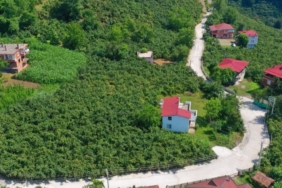 orduda-kirsal-mahallelere-beton-yol-konforu-cADdZX6Y.jpg