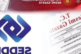 sigortacilik-destek-hizmetlerinde-yeni-donem-hasar-arastirmacilari-ve-asistans-sirketlerine-izin-sarti-getirildi-1M6Wpgup.jpg
