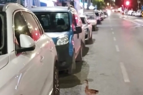 trafigi-durdurup-ordegi-kurtardilar-XQgbhRtO.jpg