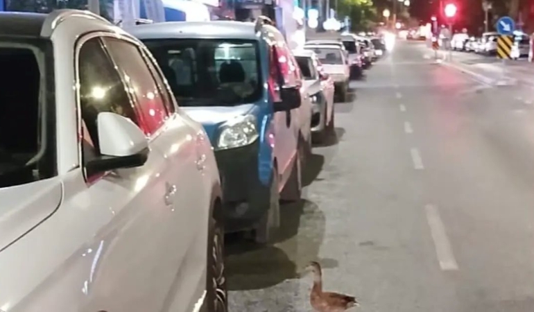 trafigi-durdurup-ordegi-kurtardilar-XQgbhRtO.jpg