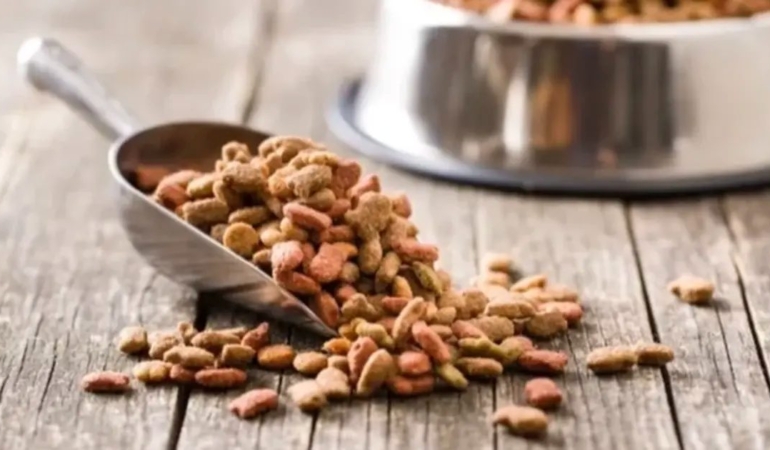yeni-yapilan-31-bilimsel-arastirmaya-gore-vegan-kopek-mamasi-ve-vegan-kedi-mamasinin-iyi-hmzKP5pg.jpg