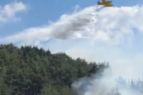 balikesir-ve-bilecikte-yanginlar-kontrol-altinda-wjZuxhdZ.jpg