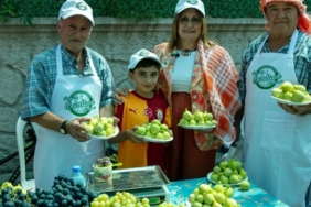 bardacigin-baskenti-payamlida-12nci-cosku-xthZlxDw.jpg