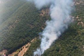 bursa-kestel-ve-harmancikta-orman-yangini-havadan-ve-karadan-mudahale-suruyor-stI53Qfs.jpg