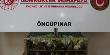 gumruk-muhafazadan-kacakciliga-darbe-2026da-58-bin-519-canli-hayvan-kurtarildi-PClgwjxw.jpg