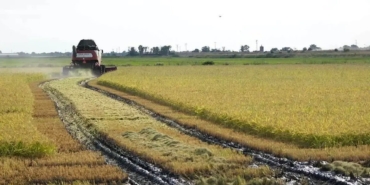 ipsalada-2026-celtik-sezonu-dualarla-acildi-9Yzl5hGe.jpg