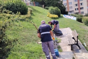 istanbul-maltepede-toplu-temizlik-seferberligi-sxLXiUnt.jpg