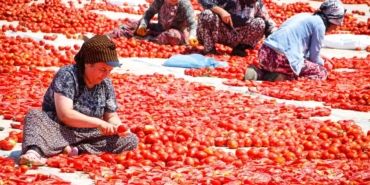 izmir-buyuksehirden-torbalida-kirmizi-altin-mesaisi-HSPMxtIQ.jpg