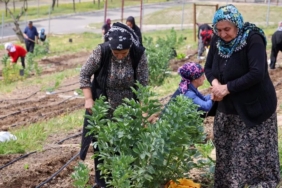 izmirin-mahalle-bostanlarinda-yaz-hasadi-FvznsheA.jpg