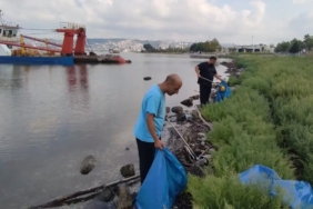 kocaelinin-kiyi-seritleri-10-ton-atiktan-arindirildi-6SITI8kZ.jpg