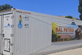 manisali-aricilarin-petekleri-buyuk-balmumu-guvesine-karsi-korunacak-sBpjdA4l.jpg