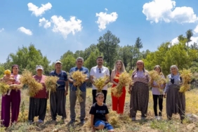 mersinde-yerel-tohumlar-gelecege-tasiniyor-pXPMKp5v.jpg