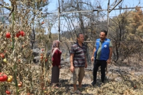 mugla-seydikemerde-yangin-sonrasi-seferberlik-ZbJ5rLZI.jpg