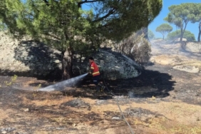 muglada-yanginlarin-aci-bilancosu-her-10-yangindan-7si-insan-kaynakli-svySlead.jpg