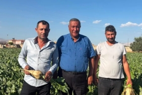 omer-fethi-gurer-pancar-ureticilerinden-beklentilerini-dinledi-S1ZRDTJK.jpg