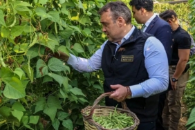 pazaryeri-boncugunda-hasat-vakti-VMEMz2wO.jpg