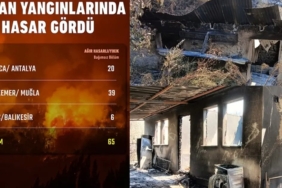 son-orman-yanginlarinda-hasar-ne-kadar-xawD84LI.jpg