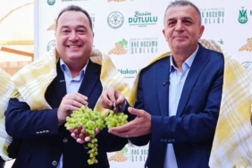 uzumun-baskenti-manisa-bagbozumuna-hazir-nJKAw1C4.jpg