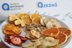 antalyada-meyve-sebze-kurutma-tesisi-hizmete-girdi-WRH6Sk6p.jpg