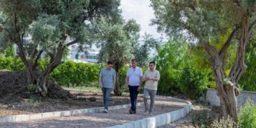 bucada-22-donumluk-atil-alan-genclik-parkina-donusuyor-7SBK81rt.jpg